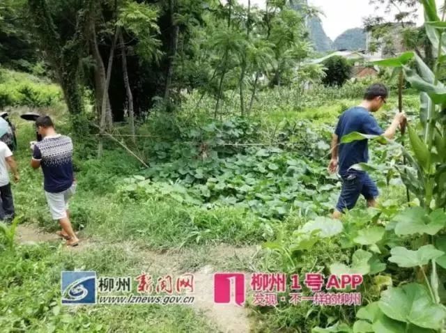 社会关注 第254页