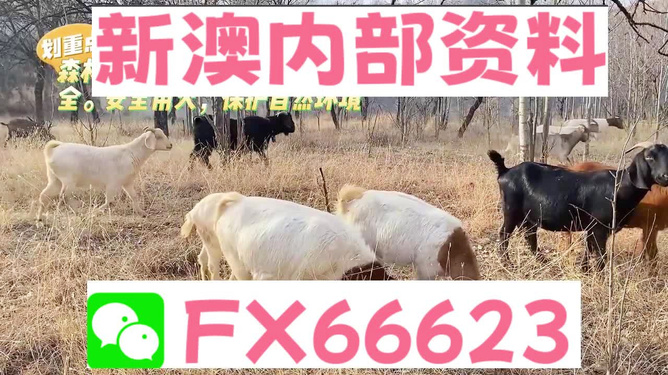 新澳2024今晚开奖资料四不像｜新澳2024今晚开奖信息全解析_持续设计解析