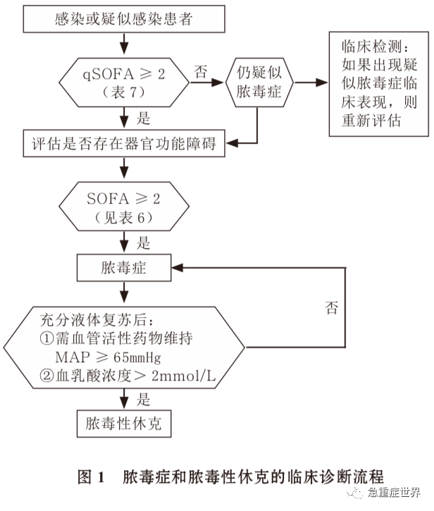 脓毒性休克最新指南｜脓毒症休克最新诊疗手册