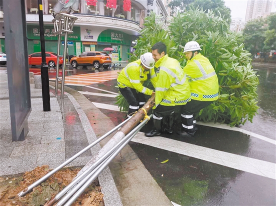 江门台风预警升级，安全守护共筑温馨家园