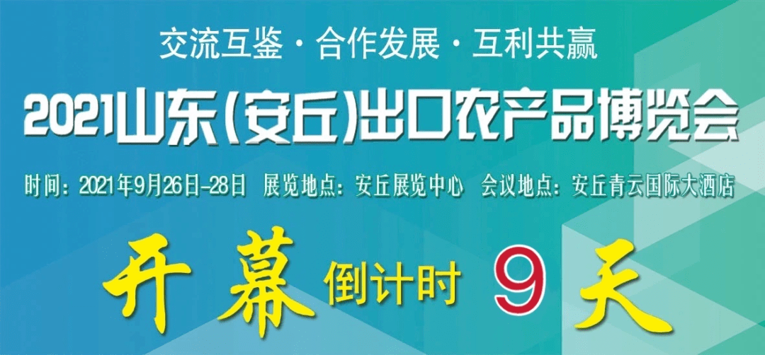 安丘芋头热销好价，品质上乘抢购正当时