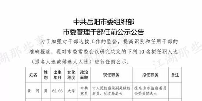 岳阳市政府最新公布：干部名录详尽公示揭晓